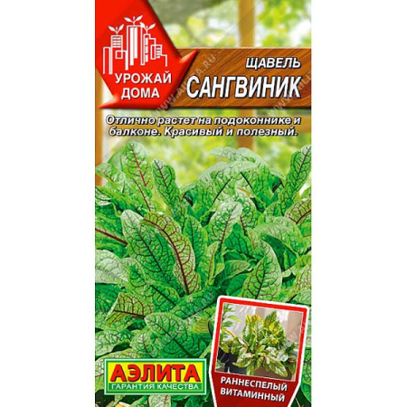 Щавель Сангвиник Аэлита Ц