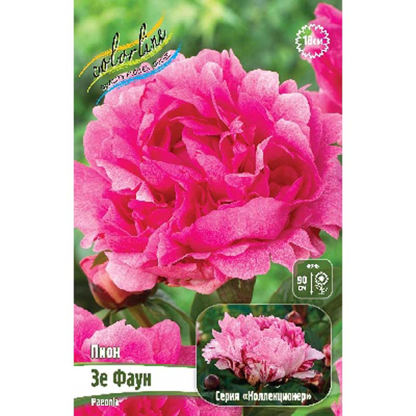 Пион Зе Фаун 2/3 n 15 шт Биг-Пак 9931