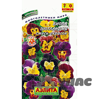 Виола Шотландия Аэлита Ц 