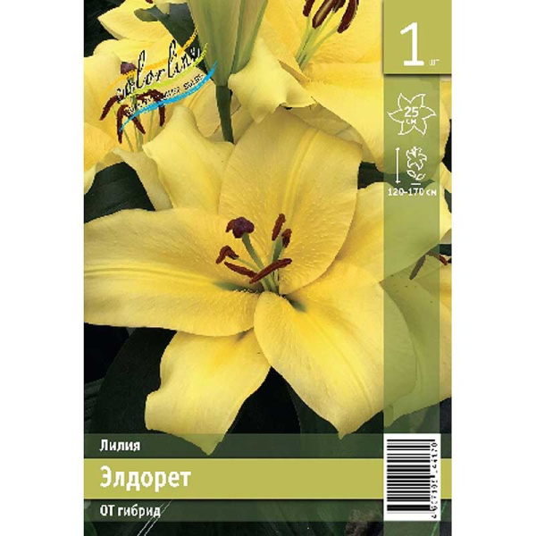 Лилия Элдорет 14/16 1 Эконом шт