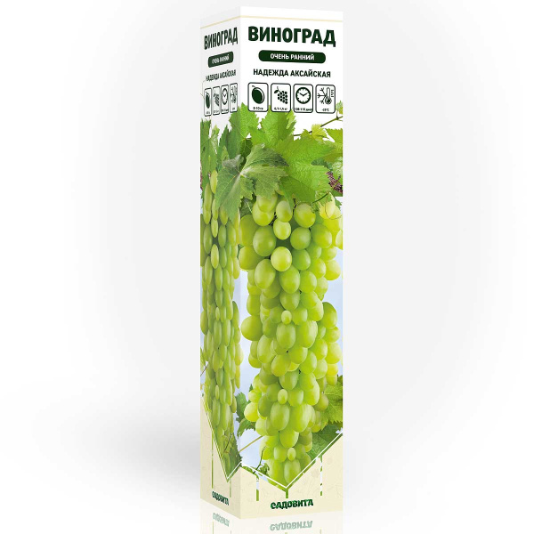 Виноград Надежда Аксайская очень ранний Садовита