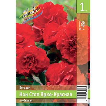 Бегония Нон Стоп Ярко-Красная 5/6 1 Эконом шт 