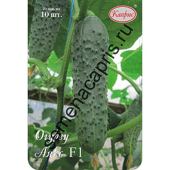 Огурец Аякс (Нидерланды) Каприс
