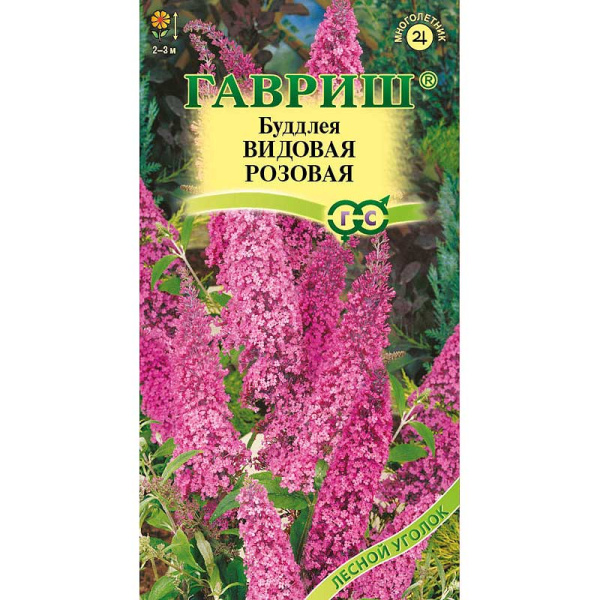 Буддлея Давида видовая розовая Гавриш Ц х10 