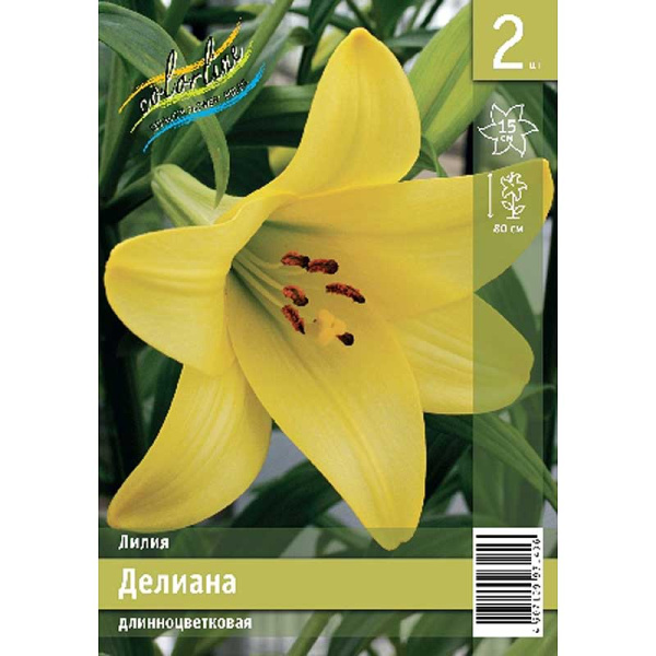 Лилия Делиана 12/14 2 Эконом шт