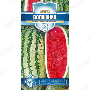 Арбуз Волжанин Гавриш Ц