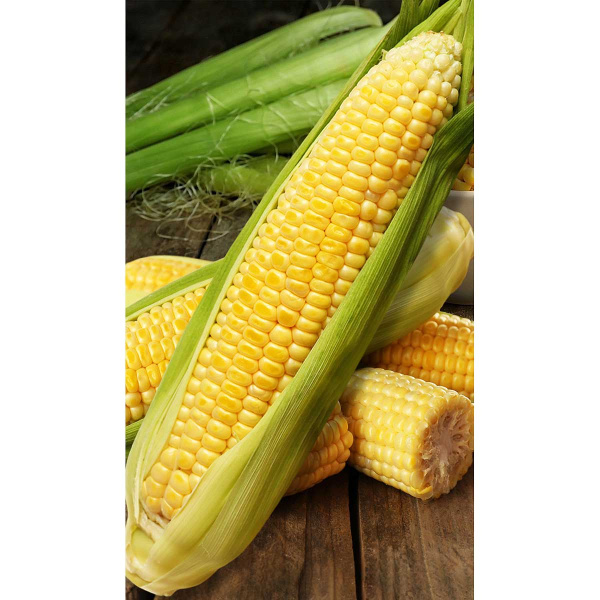 Кукуруза Карамело F1 15шт MAY SEED/Садовита Ц