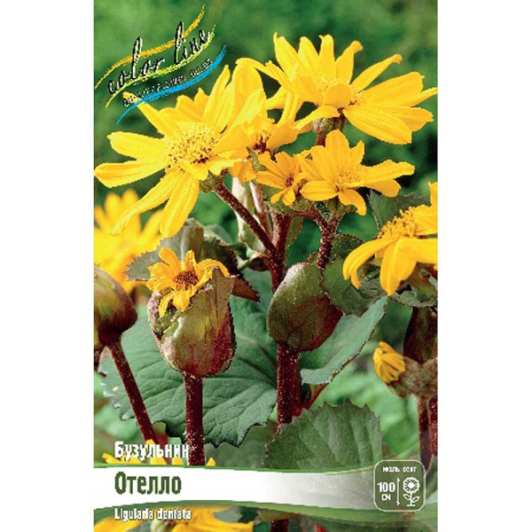 8326 Биг-Пак Бузульник Отелло I 25 шт