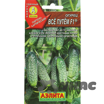 Огурец Все путем Аэлита Ц