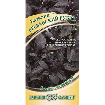 Базилик Ереванский рубин Гавриш Ц