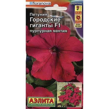 Петуния Городские гиганты пурпурная мантия Аэлита Ц 