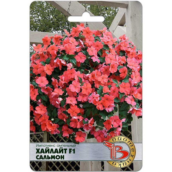 Импатиенс Хайлайт Сальмон Биотехника Ц 