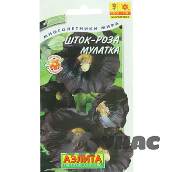 Шток-роза Мулатка Аэлита Ц 