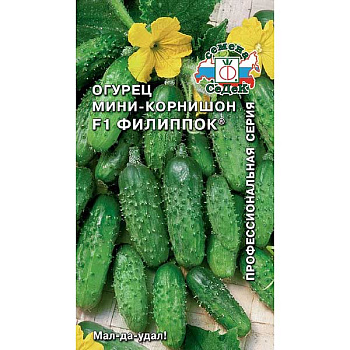 Огурец Филиппок Седек Ц