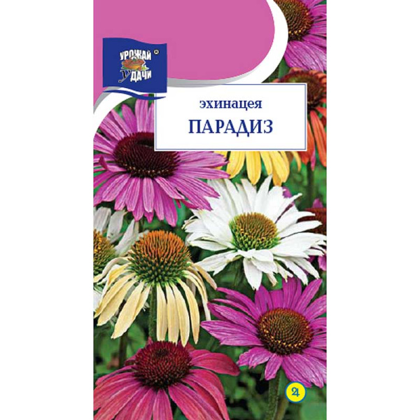 Эхинацея Парадиз Урожай у дачи Ц 