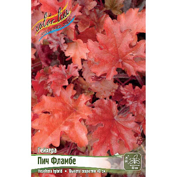 Гейхера Пич Фламбе I 25 шт Биг-пак 4372