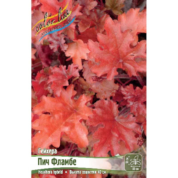 Гейхера Пич Фламбе I 25 шт Биг-пак 4372