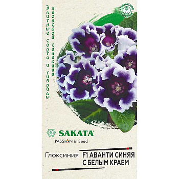 КОМ Глоксиния Аванти синяя с бел гранул Гавриш Ц 