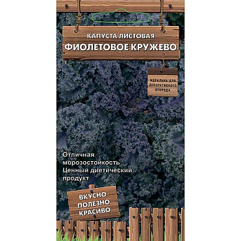 Капуста Фиолетовое кружево листовая Поиск Ц