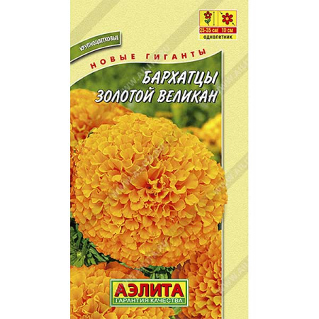 Бархатцы Золотой великан Аэлита Ц 