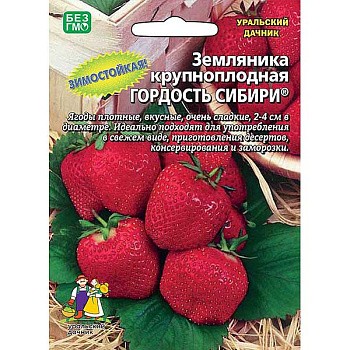 Земляника Гордость сибири Марс Ц Земляника Гордость сибири Марс Ц