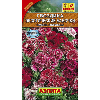 Гвоздика Экзотические бабочки смесь Аэлита Ц 
