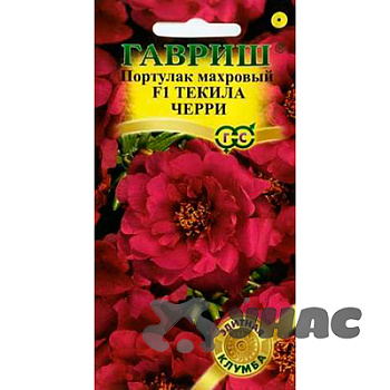 Портулак Текила Черри Гавриш Ц 