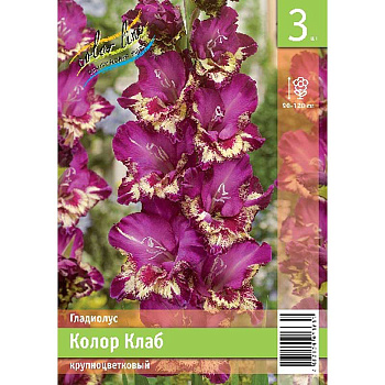 Гладиолус Колор Клаб 10/12 3 Эконом шт 