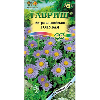Астра альпийская голубая Гавриш Ц 