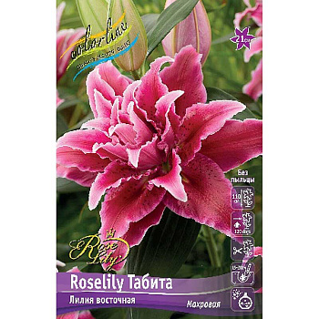 Лилия Roselily Табита 16/18 3 шт 