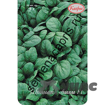 Шпинат Аполло (Нидерланды) Каприс