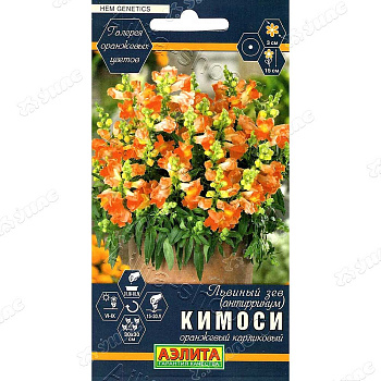 Львиный зев Кимоси оранж карликовый Аэлита Ц 