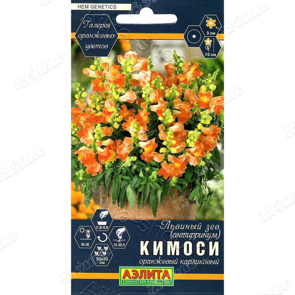 Львиный зев Кимоси оранж карликовый Аэлита Ц 