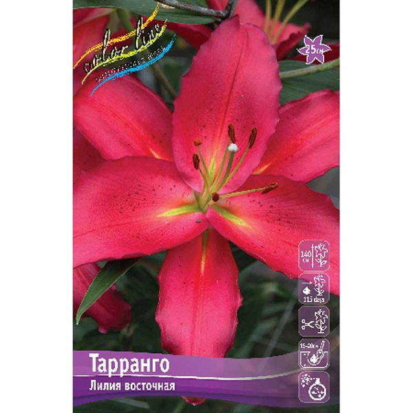 Лилия Тарранго 14/16 25 шт Биг-Пак 3633 