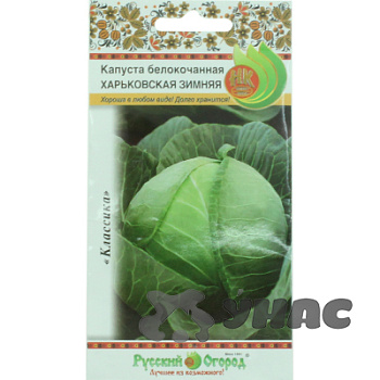Капуста Харьковская зимняя НК Ц