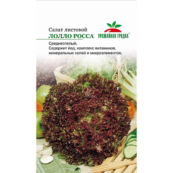 Салат Лолло Росса Седек Ц