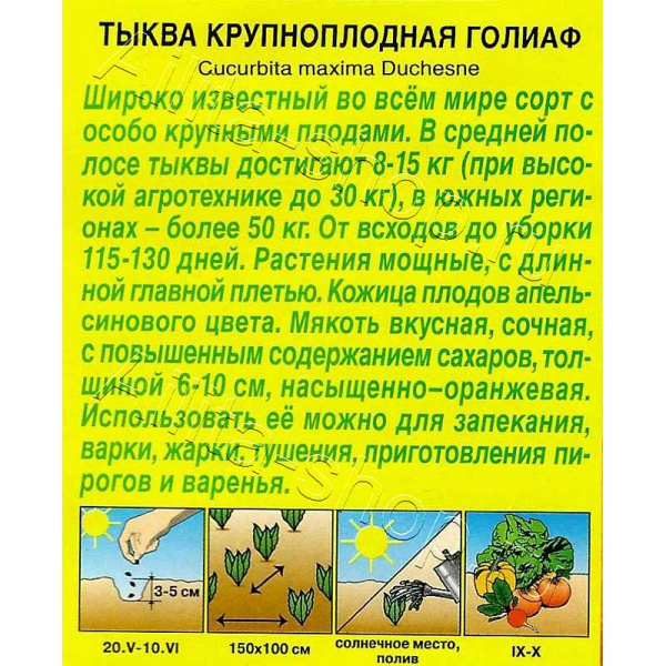 Семена Тыква Голиаф Аэлита Ц x10