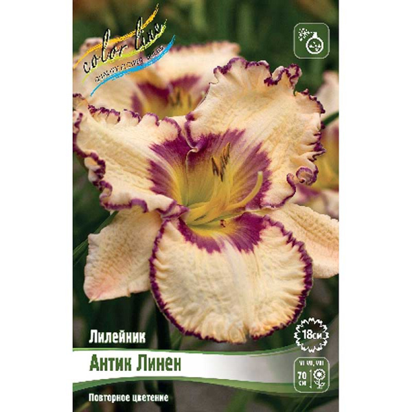 Лилейник Антик Линен I 25 шт Биг-пак 8194 