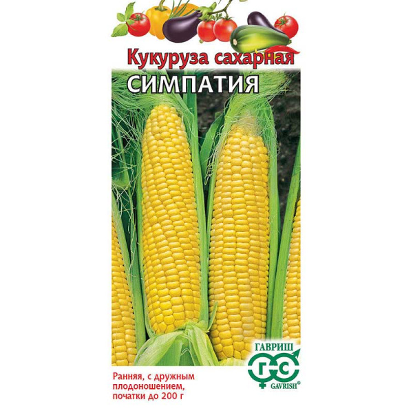 Кукуруза  Симпатия Гавриш Ц