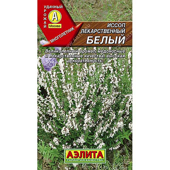 Иссоп лекарственный белый Аэлита Ц