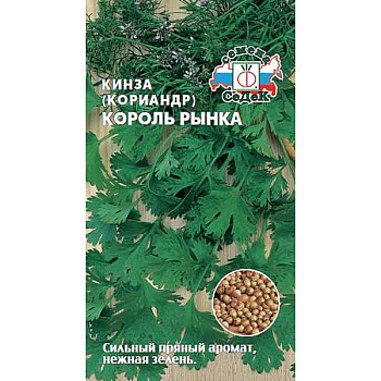 Кориандр Король Рынка Седек Ц