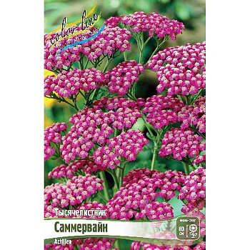 Тысячелистник Саммервайн I 1 шт
