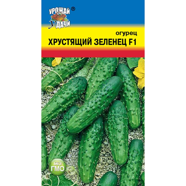 Огурец Хрустящий зеленец Урожай у дачи Ц