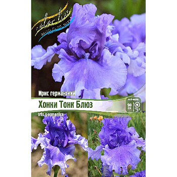 Ирис Германский Хонки Тонк Блюз I 25 шт Биг-пак 12105