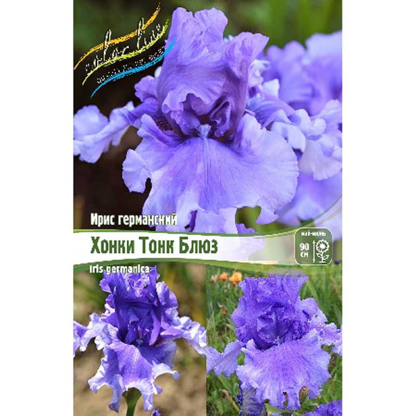 Ирис Германский Хонки Тонк Блюз I 25 шт Биг-пак 12105