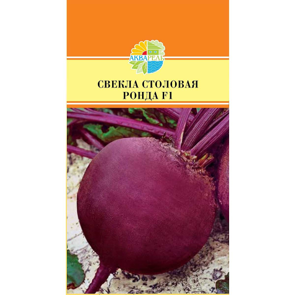 Свекла Ронда Маринда/Акварель