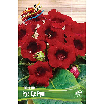 Глоксиния Руа Де Руж 5/6 50 шт Шоу-бокс 8882