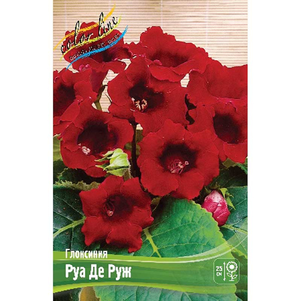 Глоксиния Руа Де Руж 5/6 50 шт Шоу-бокс 8882
