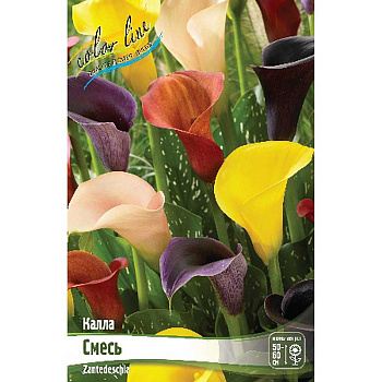 Калла Смесь 12/14 30 шт Шоу-бокс 9318