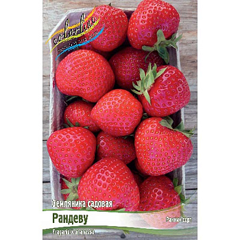 7139 Биг-Пак Земляника Садовая Рандеву A 100 шт 